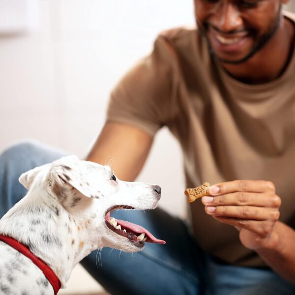 Milk-Bone Flavor Snacks Mini Dog Biscuits, Flavored Crunchy Dog Treats - Image 6